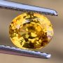 Ceylon Sapphire Yellow Oval 1.21 carats