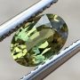 Australian Sapphire Yellow Oval 0.66 carats
