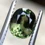 Australian Sapphire Green Oval 1.44 carats