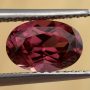 Garnet Pink Rhodolite Oval 1.98 carats