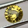 Ceylon Sapphire Yellow Round 5.2mm