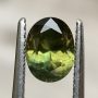 Australian Sapphire Green Yellow Oval 1.17 carats